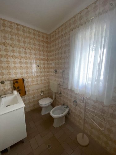 Neat single bedroom close to Universidade de Évora - 50m near Praça do Giraldo - Gallery - 9