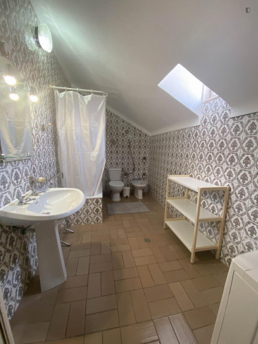 Neat single bedroom close to Universidade de Évora - 50m near Praça do Giraldo - Gallery - 11