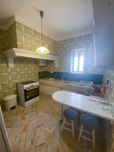 Neat single bedroom close to Universidade de Évora - 50m near Praça do Giraldo  - Gallery -  5