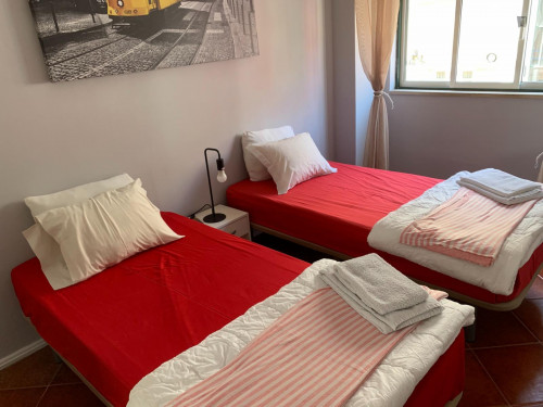 2-bedroom apartment, with outdoor area - Gallery - 19