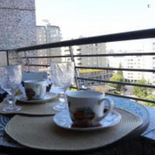 Very cool 1-bedroom apartment in Massarelos