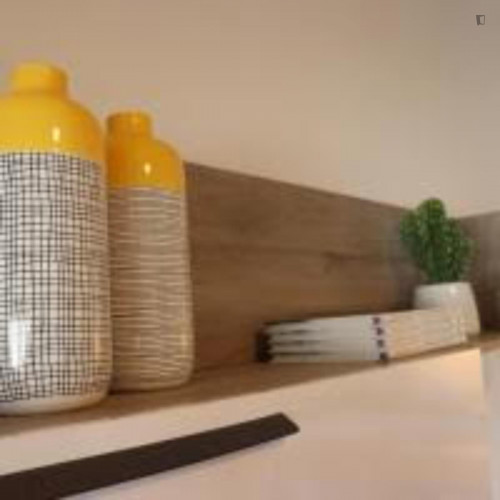 Very cool 1-bedroom apartment in Massarelos