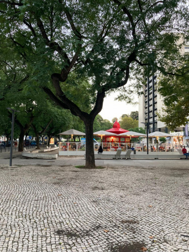 Warm and cosy single bedroom close to Instituto Politécnico and Metro Station