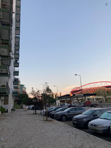 Warm and cosy single bedroom close to Instituto Politécnico and Metro Station