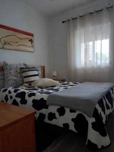 Amazing house in Ermidas do Sado, not too far from the beaches of Vila Nova de Milfontes  - Gallery -  5