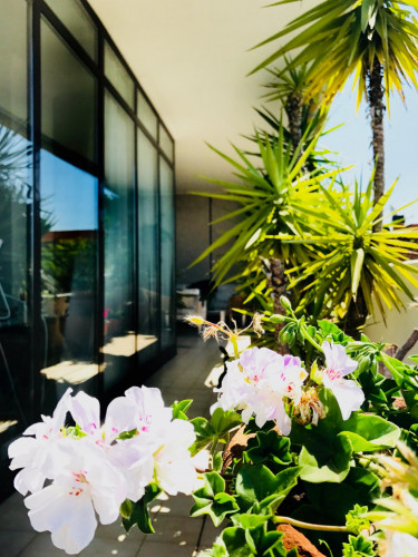 Pleasant single bedroom near Università Roma Tre