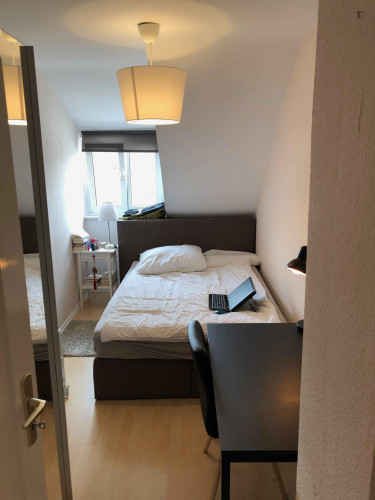 Cosy single bedroom with TV in a 3-bedroom apartment