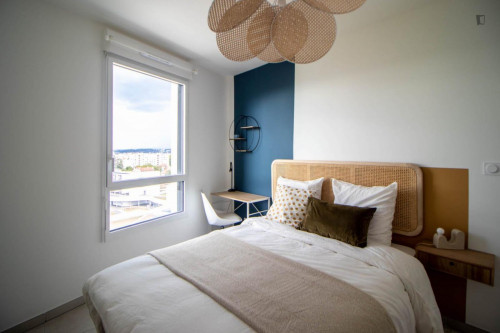 Atypical room of 10 m² to rent near Lyon - LYO29