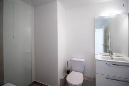 Atypical room of 10 m² to rent near Lyon - LYO29 - Gallery - 9