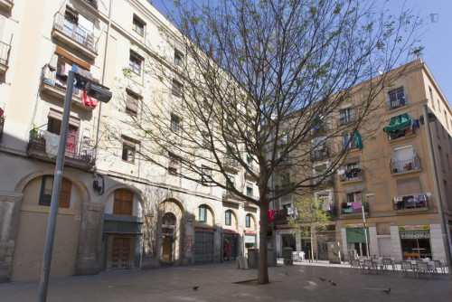 Cozy 2-bedroom apartment in El Raval