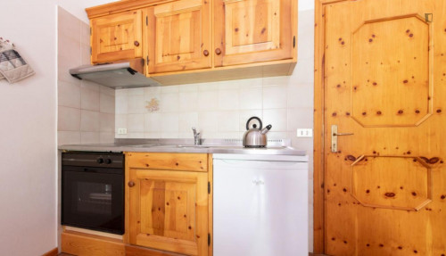 1-Bedroom apartment in Valdidentro