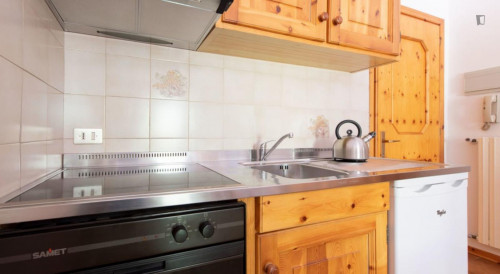 1-Bedroom apartment in Valdidentro  - Gallery -  5
