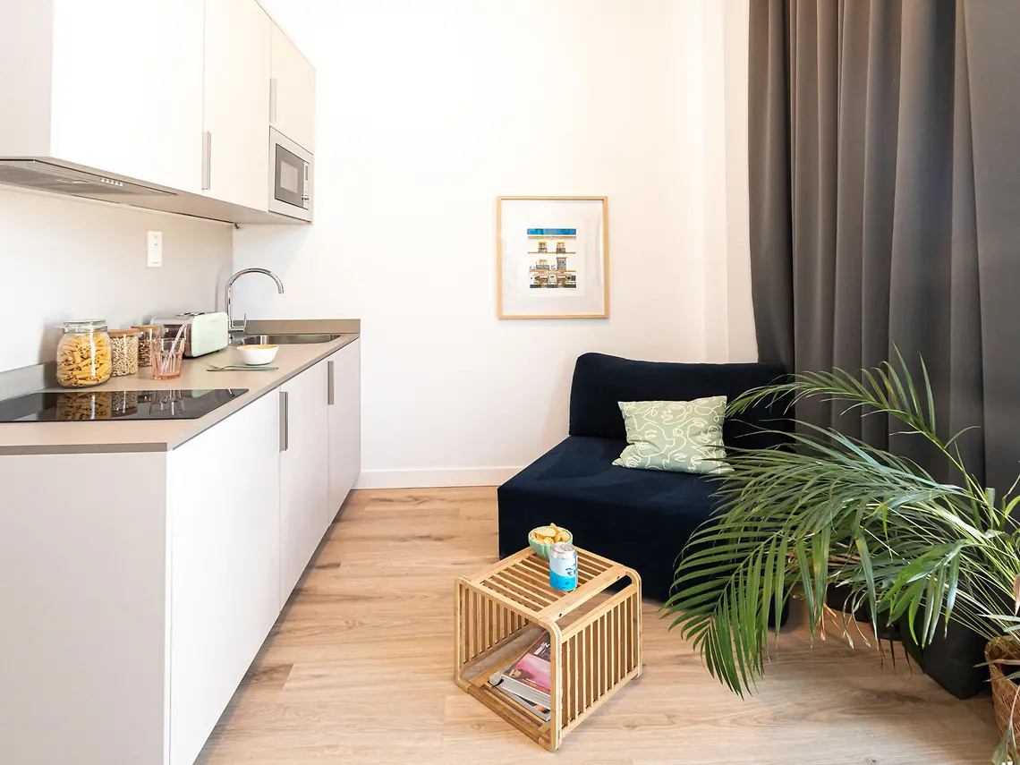  Single Plus With Kitchen  -  Cartuja  - Gallery -  3
