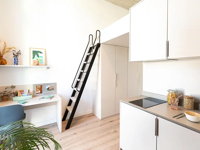  Single Plus With Kitchen & Terrace  -  Cartuja  - Gallery -  5
