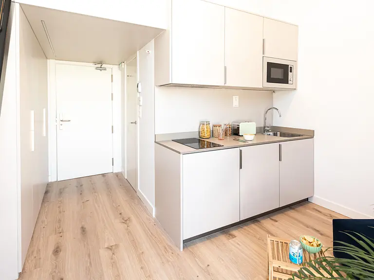  Single Superior With Kitchen & Balcony  -  Cartuja  - Gallery -  3