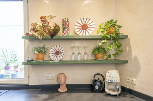 Dodoensstraat - Gallery - 11