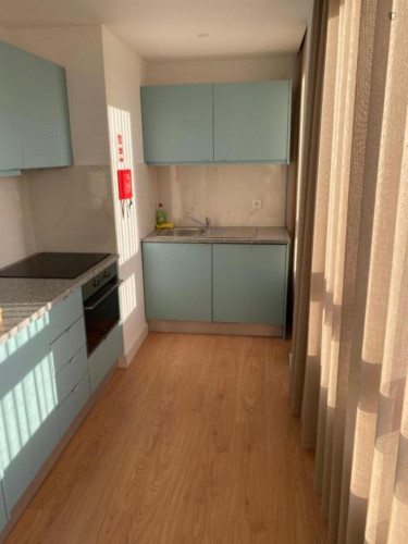 Charming 1-bedroom apartment in Estarreja