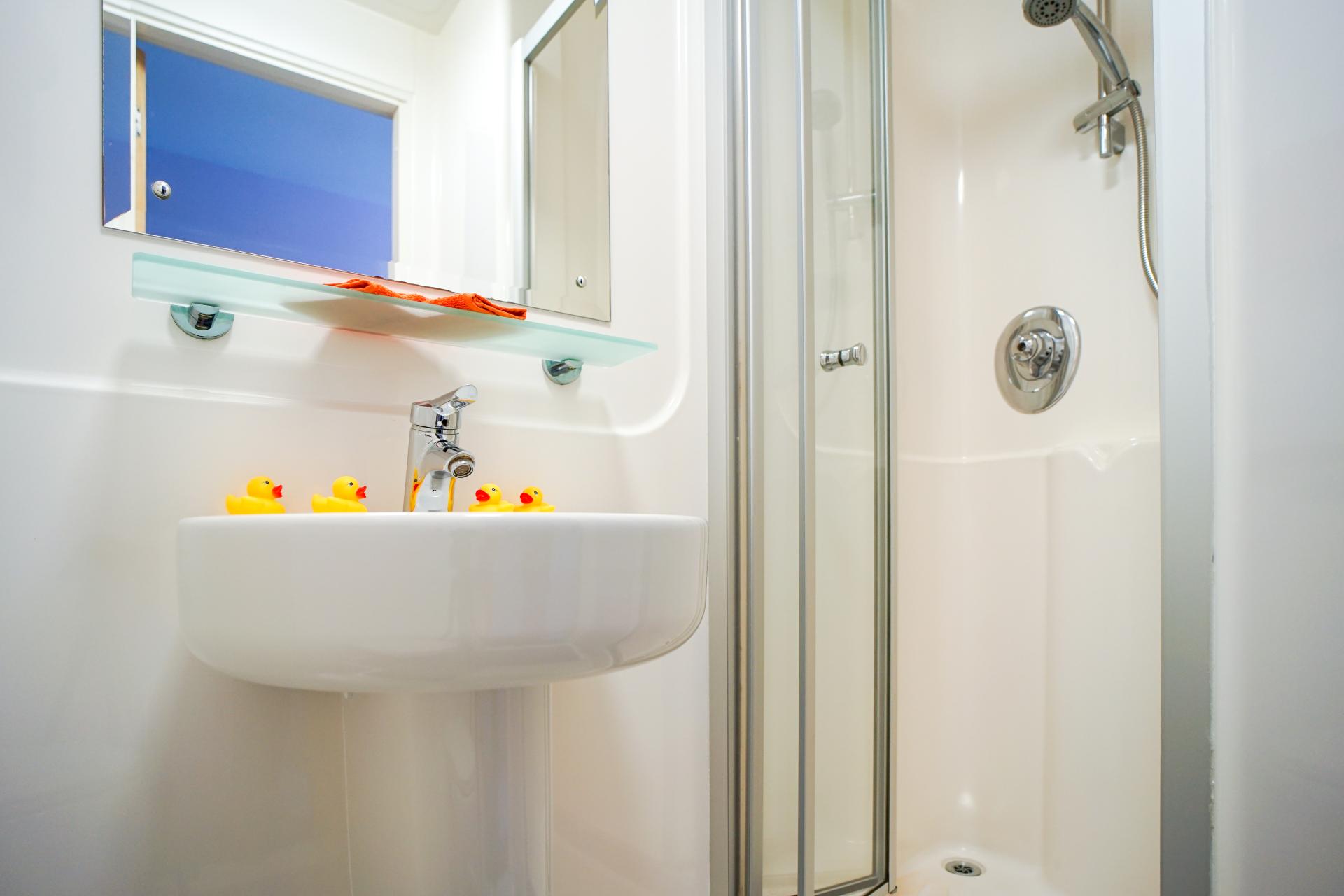  5 Bed Gold En-Suite  -  Beaverbank Place  - Gallery -  11