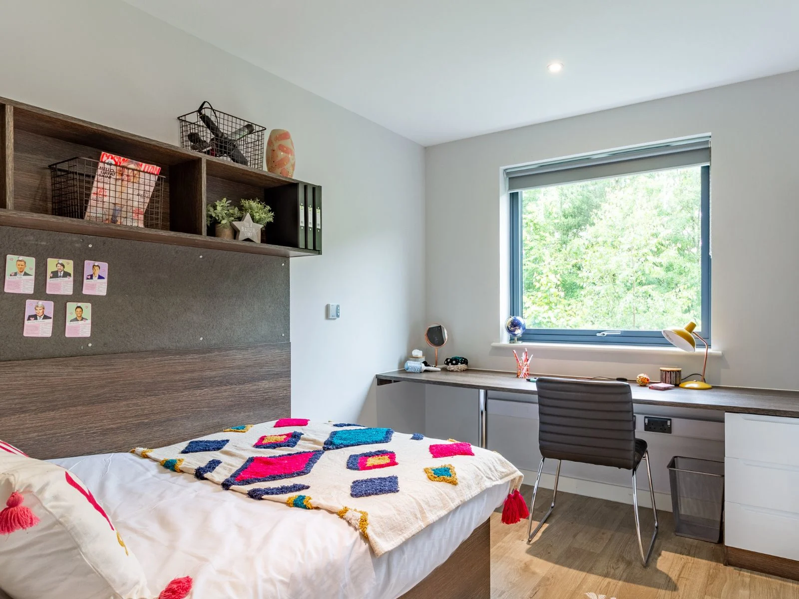 Classic En Suite - Cricket Field Court - Gallery - 1