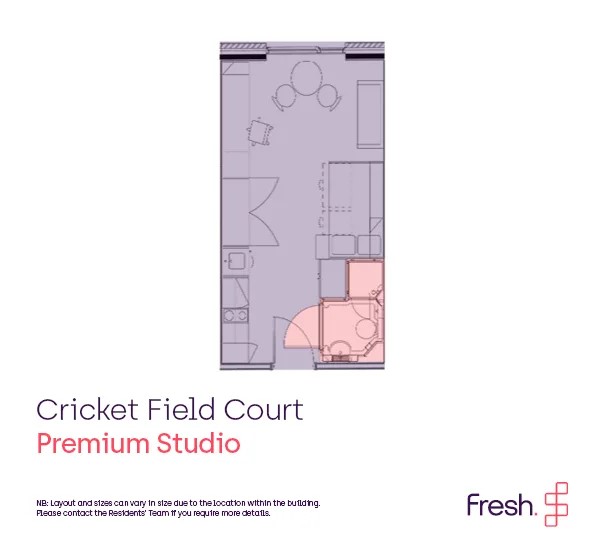 Premium Studio - Cricket Field Court - Gallery - 2