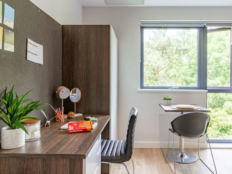 Premium Studio - Cricket Field Court - Gallery - 5