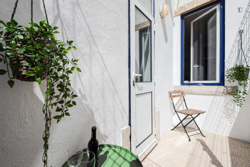 Marvellous 1-bedroom apartment in Graça
