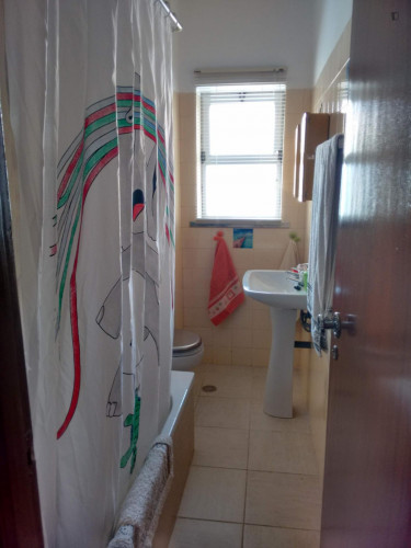 Very cosy single bedroom close to Instituto Politécnico de Castelo Branco  - Gallery -  5