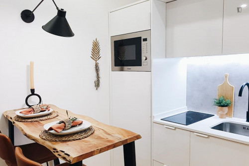 Very nice 1-bedroom apartment in São Bento