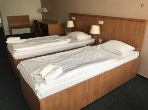 Bed in an ensuite twin bedroom, in a hotel near Přírodní park Košíře-Motol - Gallery - 35