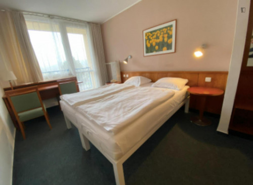 Bed in an ensuite twin bedroom, in a hotel near Přírodní park Košíře-Motol - Gallery - 29