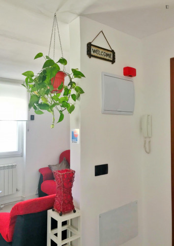 Room 4  - Gallery -  5
