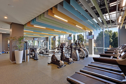 Scape Adelaide University