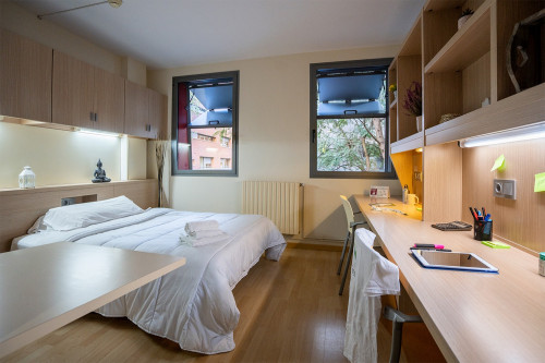 LIV Student sarria - Gallery - 35