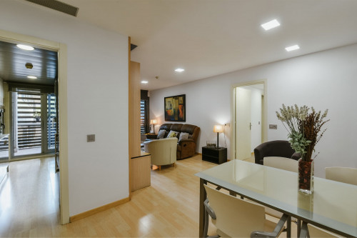 LIV Student sarria - Gallery - 21