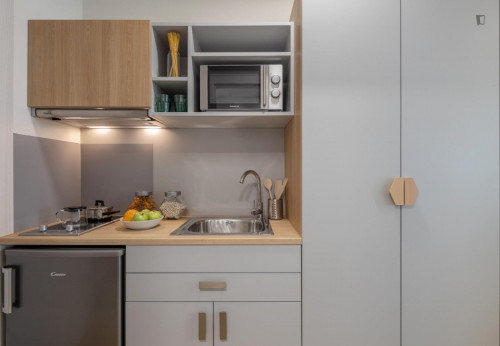 Ensuite Room fully fitted with fridge, microwave (Half Board included)
