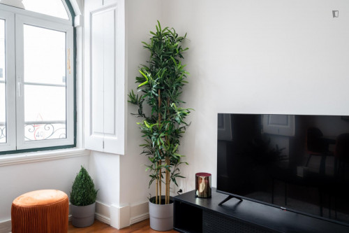 Tasteful 1-bedroom apartment in Campo de Ourique - Gallery - 18