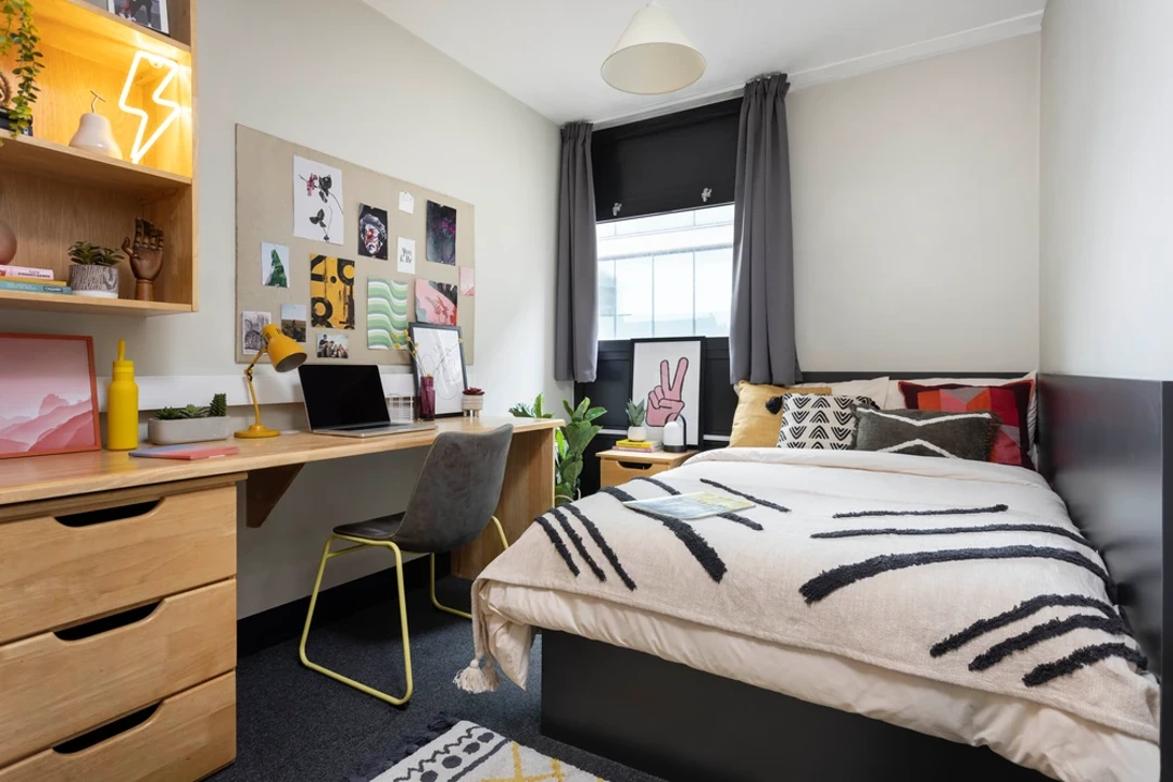  Large Standard Double En-Suite  -  Rosalind Franklin Halls, Portsmouth  - Gallery -  1