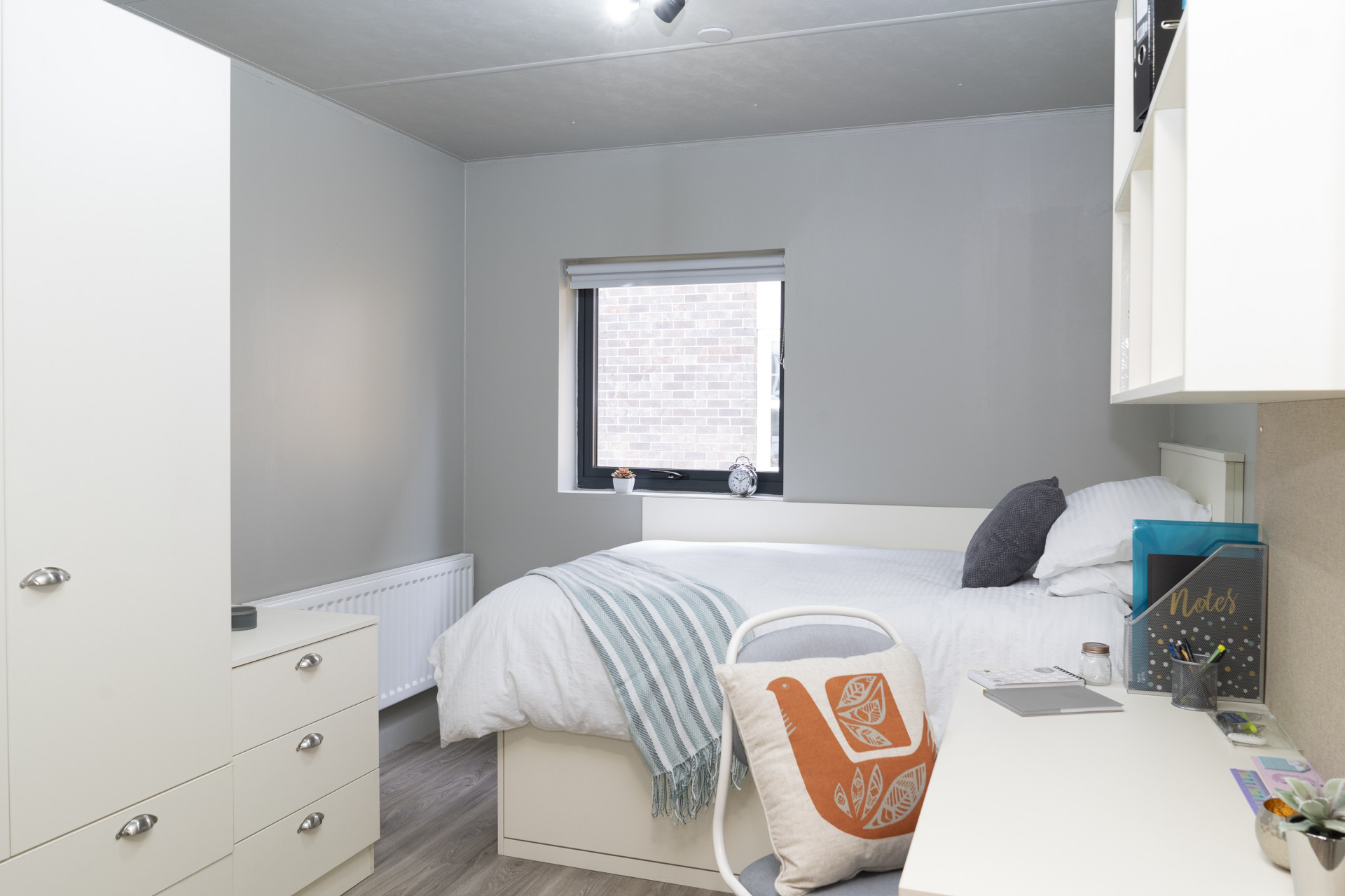 Non Ensuite - Peterson Hall - Gallery - 3
