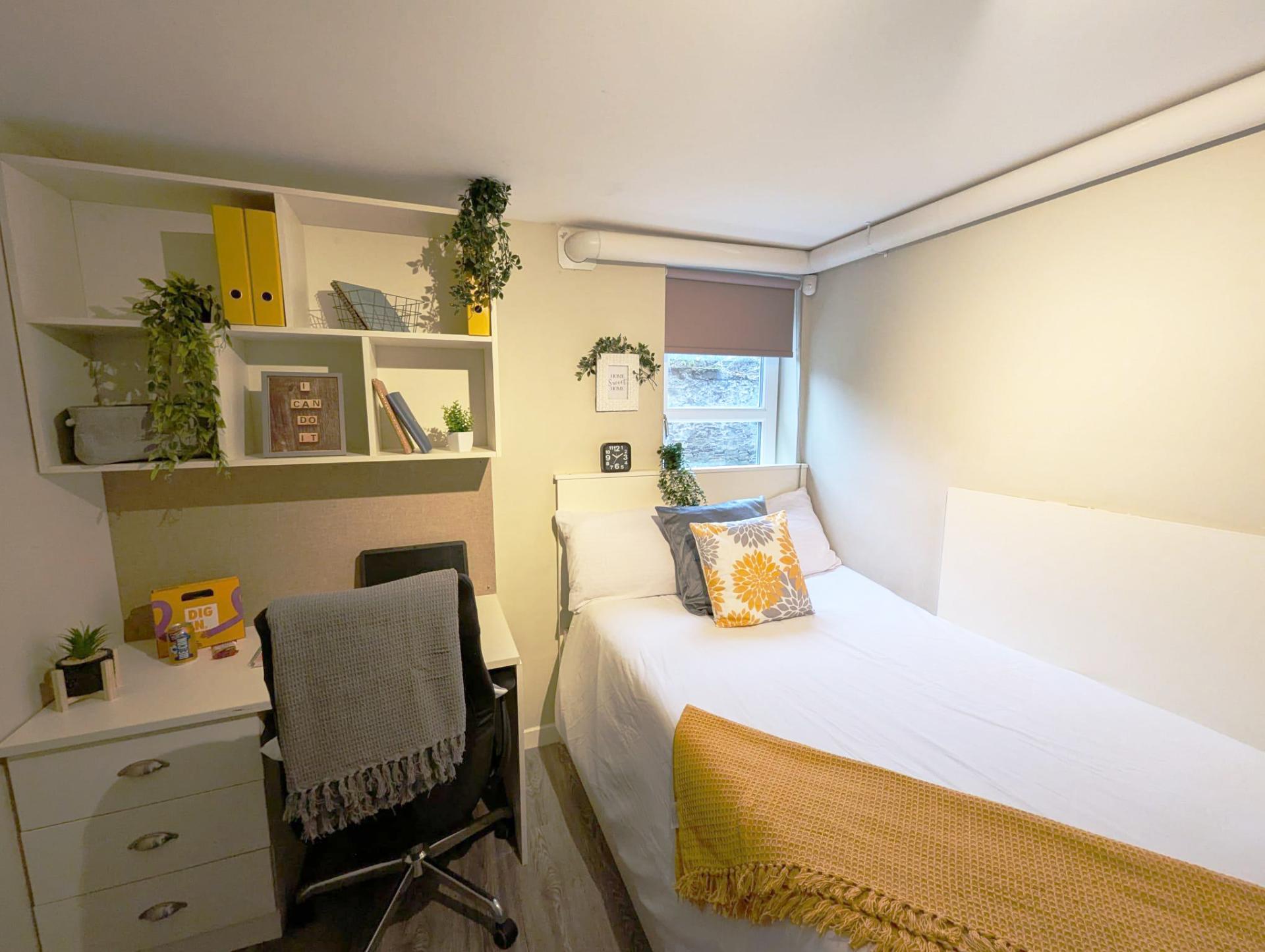  Standard Ensuite  -  Peterson Hall  - Gallery -  2