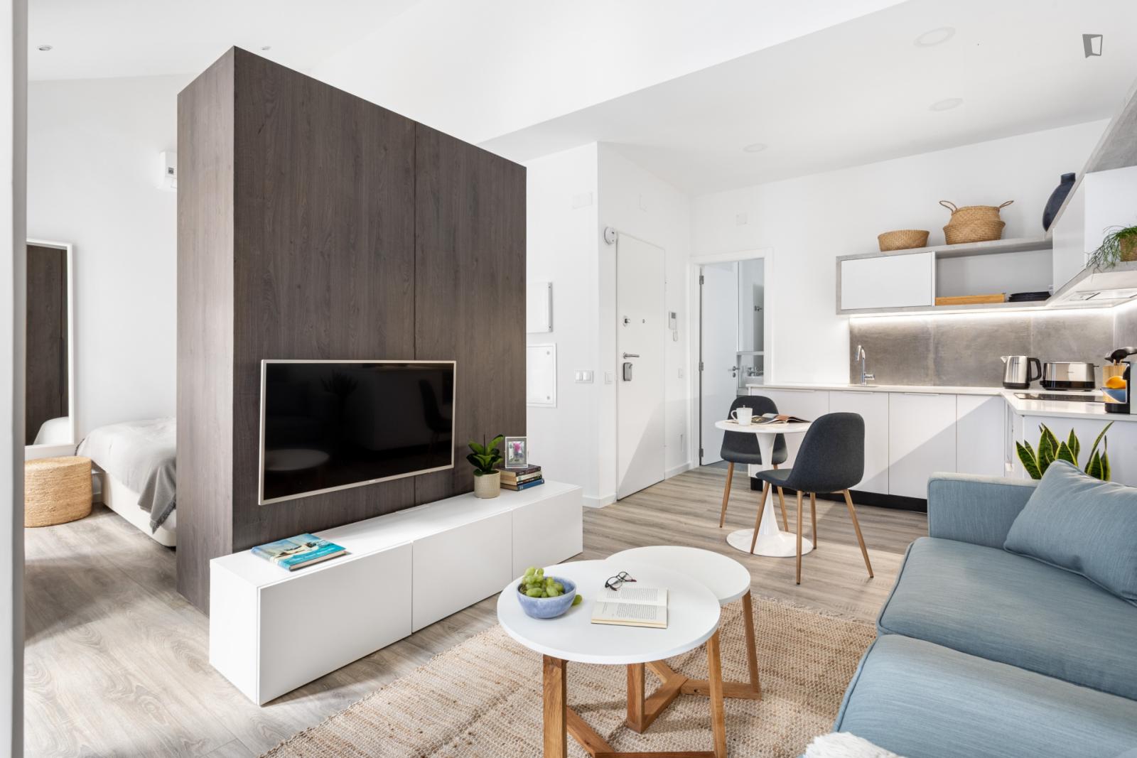 Wonderful Studio In São Bento - 1