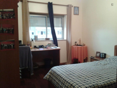 Inviting single bedroom in a 4-bedroom apartment in Coimbra