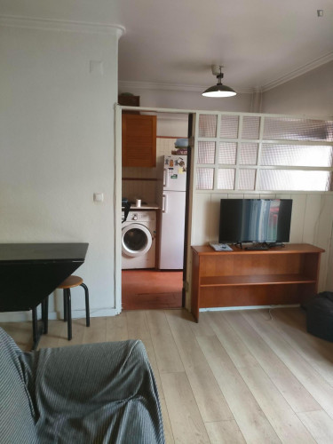 Apartamento T1 nas Laranjeiras com grande terraço - Gallery - 5