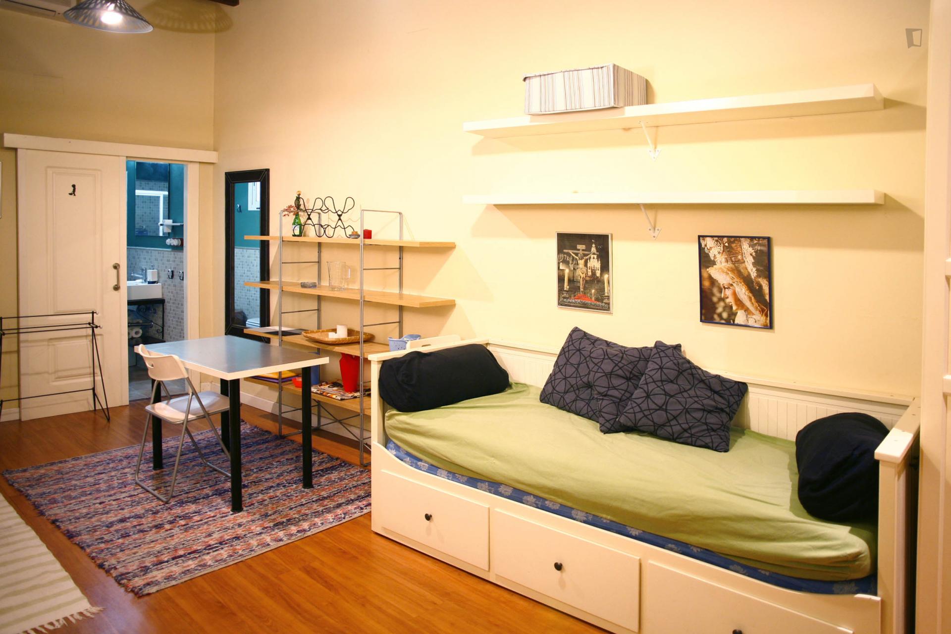 Sublime studio apartment near Alameda de Hercules