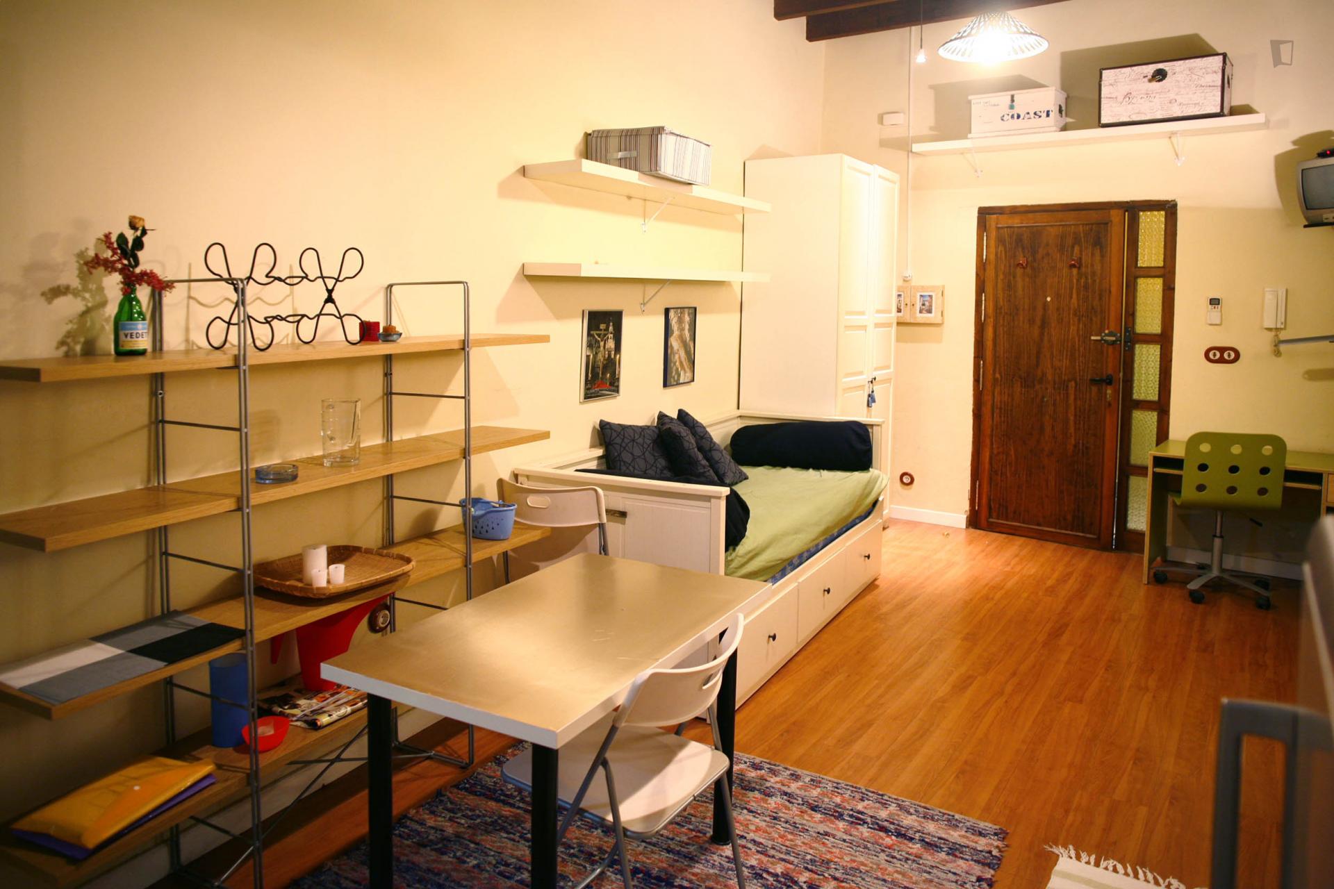 Sublime studio apartment near Alameda de Hercules