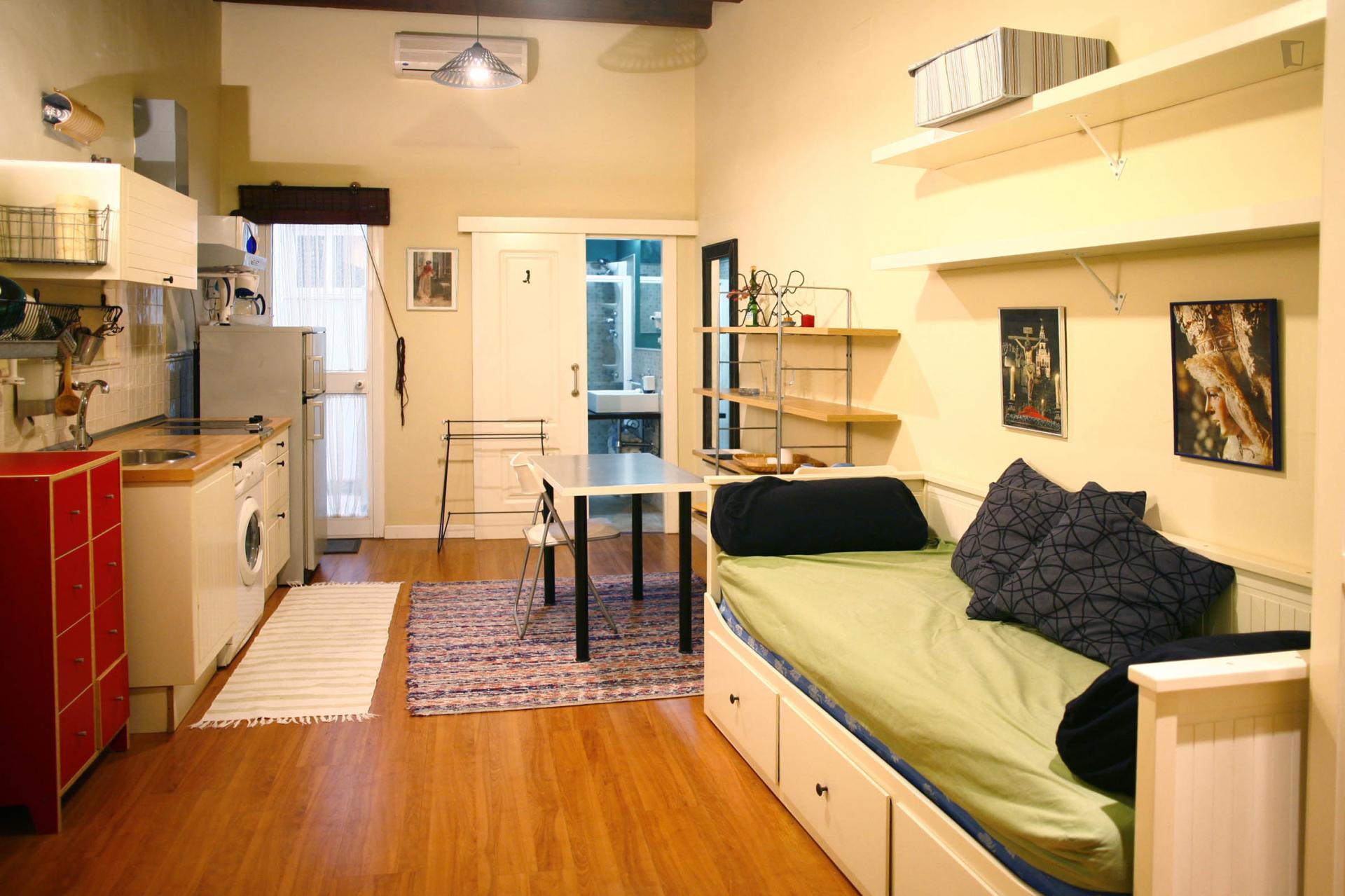 Sublime studio apartment near Alameda de Hercules