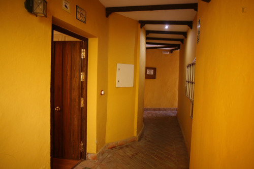 Sublime studio apartment near Alameda de Hercules