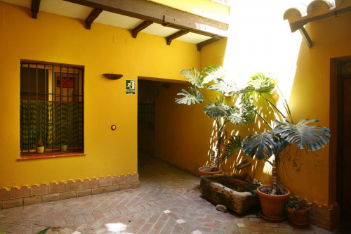 Sublime studio apartment near Alameda de Hercules