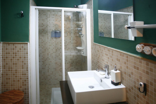 Sublime studio apartment near Alameda de Hercules - Gallery - 6
