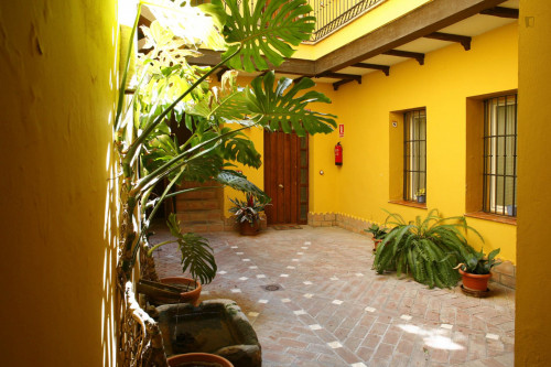 Sublime studio apartment near Alameda de Hercules