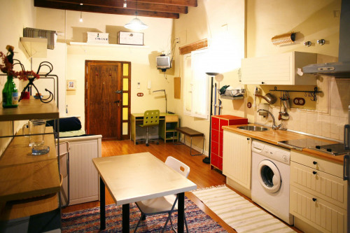 Sublime studio apartment near Alameda de Hercules
